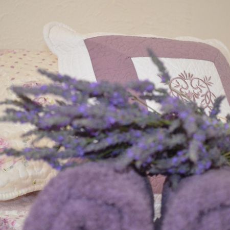Hotel La Bastide De Sauvetas Bonlieu-sur-Roubion Esterno foto