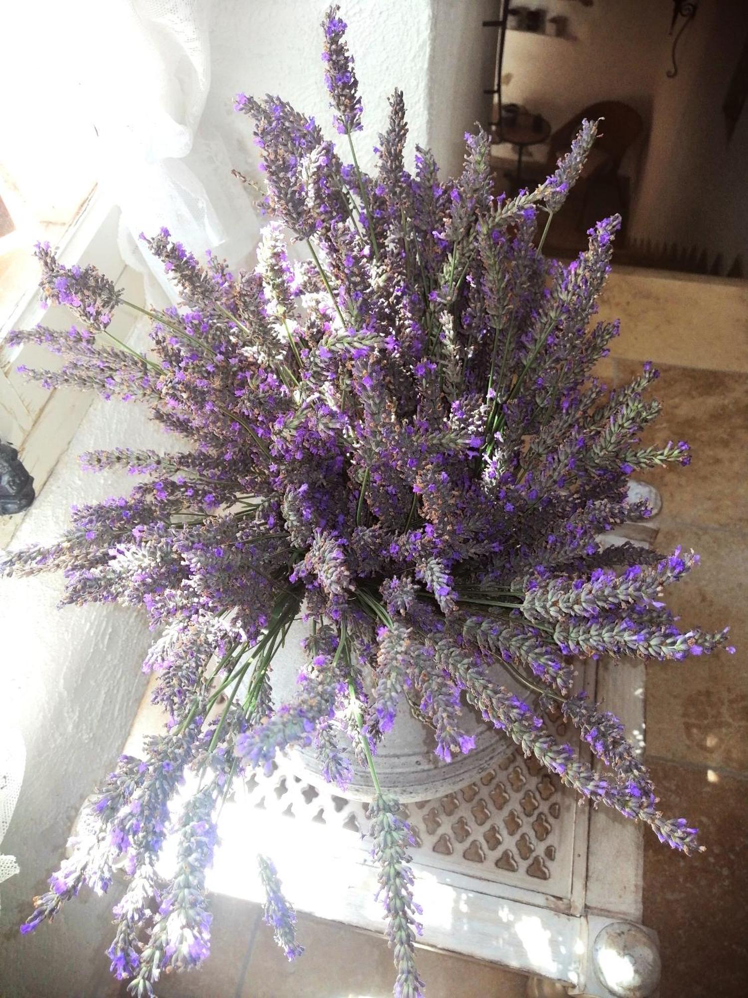 Hotel La Bastide De Sauvetas Bonlieu-sur-Roubion Esterno foto